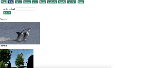GIPHY API APP!! Super Cool